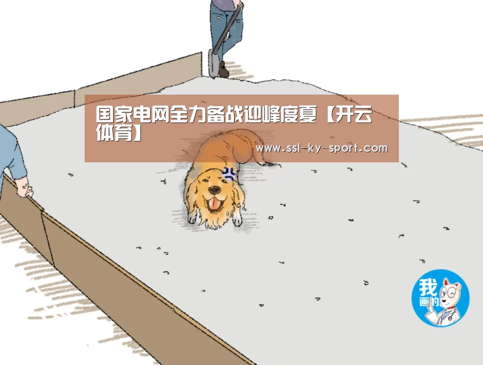 国家电网全力备战迎峰度夏【开云体育】(图2) 国家电网全力备战迎峰度夏【开云体育】(图2)